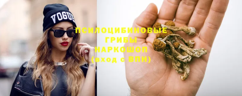 Псилоцибиновые грибы GOLDEN TEACHER  купить наркотики сайты  omg ссылка  Мышкин 